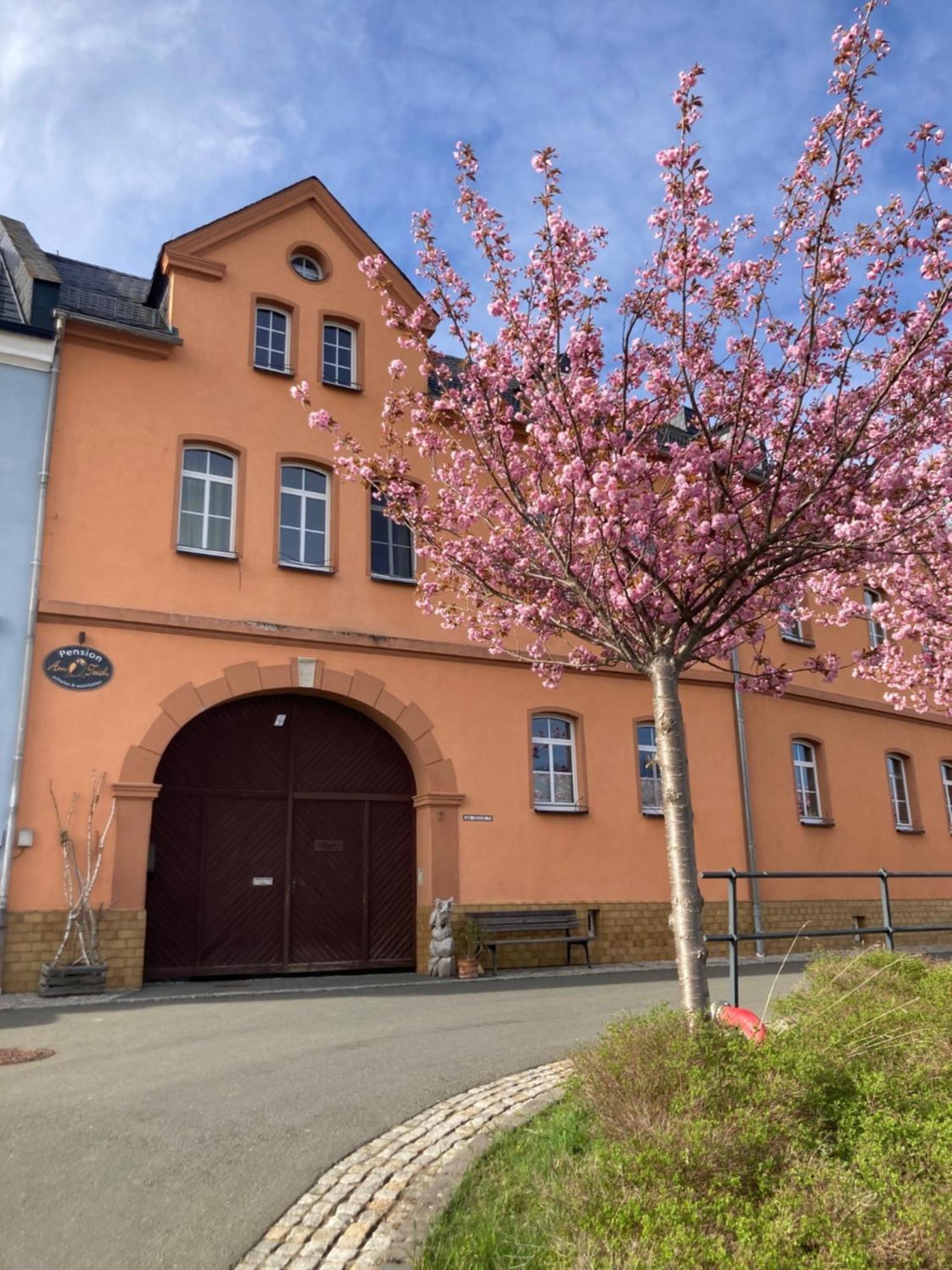 Pension Und Ferienwohnung Am Teich Schleiz Exterior foto